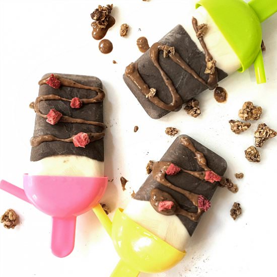 Greek Yogurt Chocolate Popsicles - Recipe photo by Sherbakes