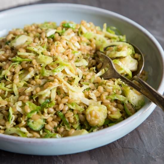 Wheat Berry Salad - Recipe photo by FakeFoodFree