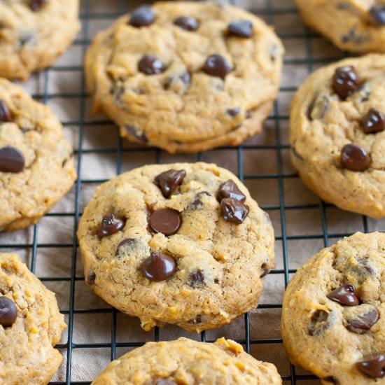 Pumpkin Chocolate Chip Cookies - Recipe photo by Country Cupboard Cookies