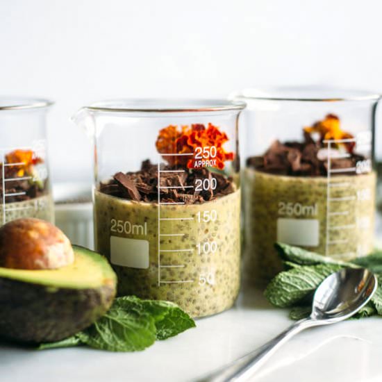Avocado Mint Chia Pudding - Recipe photo by thealmondeater