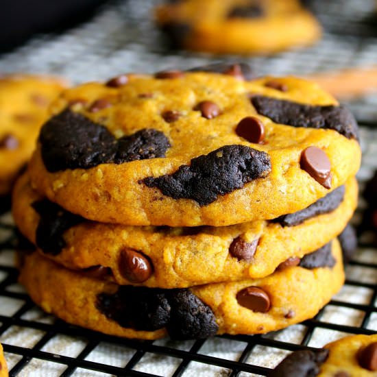 Gluten Free Chocolate Pumpkin Cookies - Recipe photo by petiteallergytreats