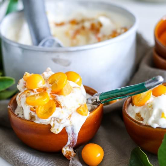 Kumquat & gooseberry ice cream - Recipe photo by thesecretlifeofbee
