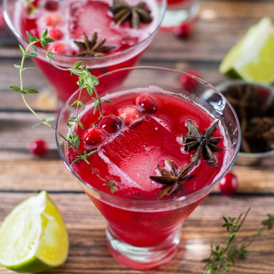 Spiced Sparkling Cranberry Punch - Recipe photo by thegirlonbloor