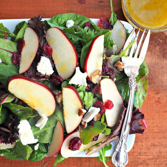 Fall Apple & Craisin Salad - Recipe photo by Everyday Gourmet with Blakely