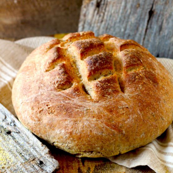 Bauernbrot, Farmer-Style Bread - Recipe photo by Lemon blossoms