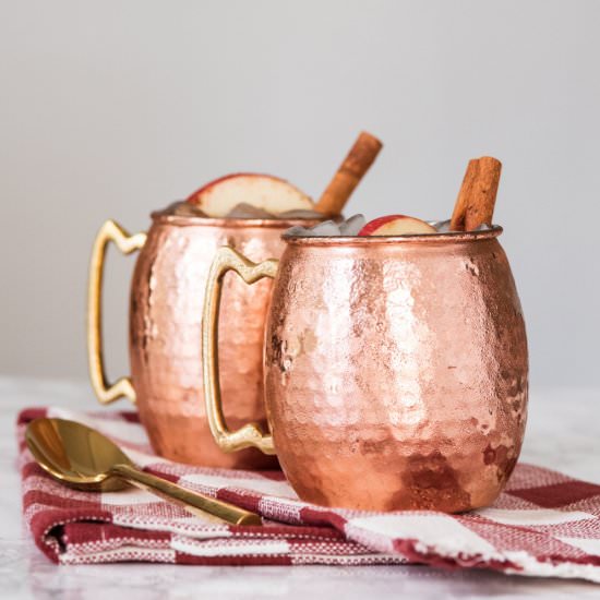 Apple Cider Moscow Mule - Recipe photo by the sweetest occasion