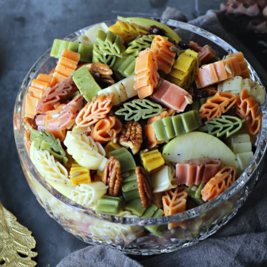Fall Harvest Pasta Salad - Recipe photo by Garden in the kitchen