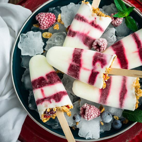 Yogurt Raspberry Pops - Recipe photo by veselina zheleva