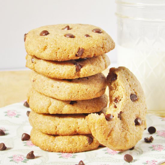 Sugar-Free Chocolate Chip Cookies - Recipe photo by Dr Lauras Kitchen