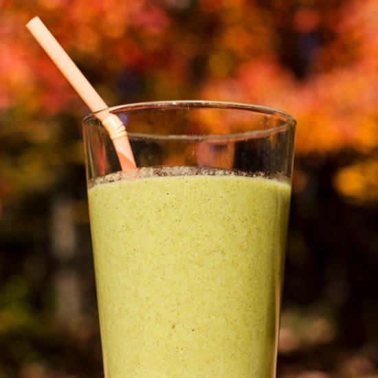 Pumpkin Pie Spice Mango Smoothie - Recipe photo by VeggiePrimer