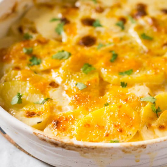 Rosemary & Cheese Potato Gratin - Recipe photo by ikneadtoeat