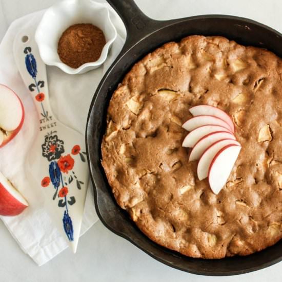 Apple Spice Skillet Cake - Recipe photo by MissAlliesKitchen