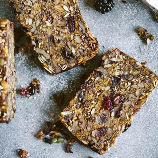 Pumpkin Cranberry Nut and Seed Loaf - Recipe photo by foolproofliving.com