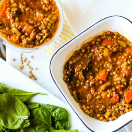 Super hearty Lentil Moroccan Soup - Recipe photo by findmymojyo