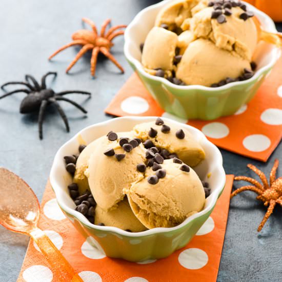 Vegan Pumpkin Spice Ice Cream - Recipe photo by boulderlocavore