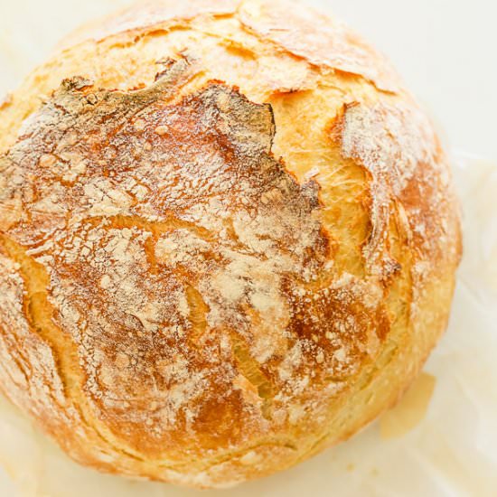 Best No Knead Bread Recipe - Recipe photo by MunchkinTime