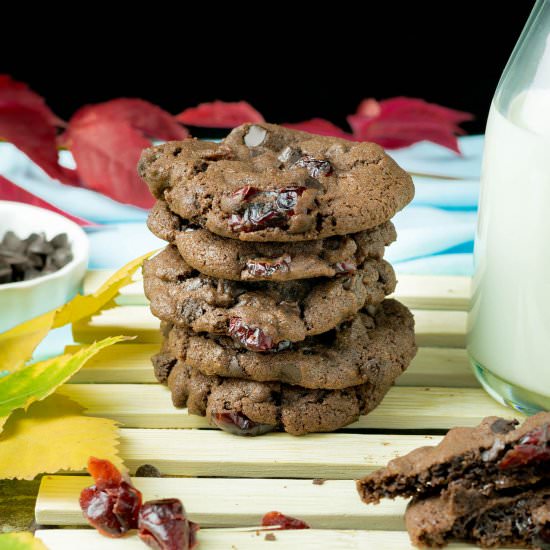 chewy cranberry chocolate cookies - Recipe photo by rollingspoons