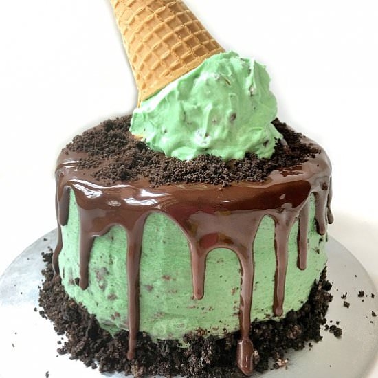 Mint Chocolate Chip Cake - Recipe photo by Sherbakes