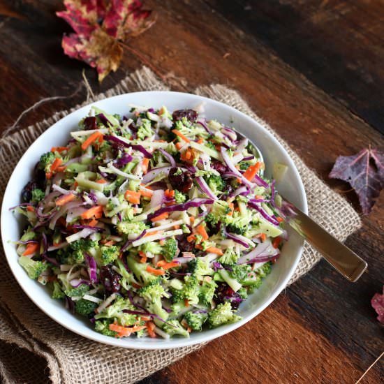 Fall Broccoli Slaw Salad - Recipe photo by susanstable