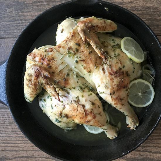 Oven Roasted Butterflied Chicken - Recipe photo by cookingwithbliss