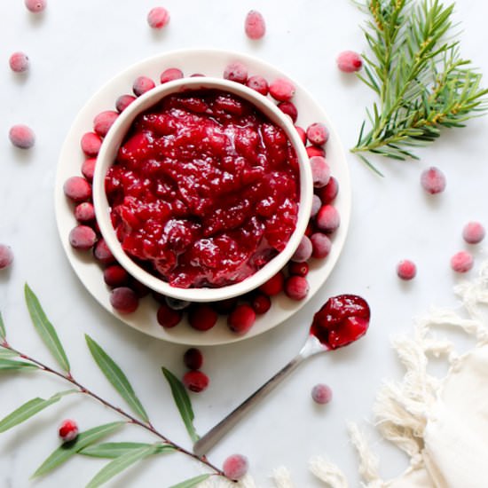 Cranberry Apple Sauce - Recipe photo by tidbits-cami.com