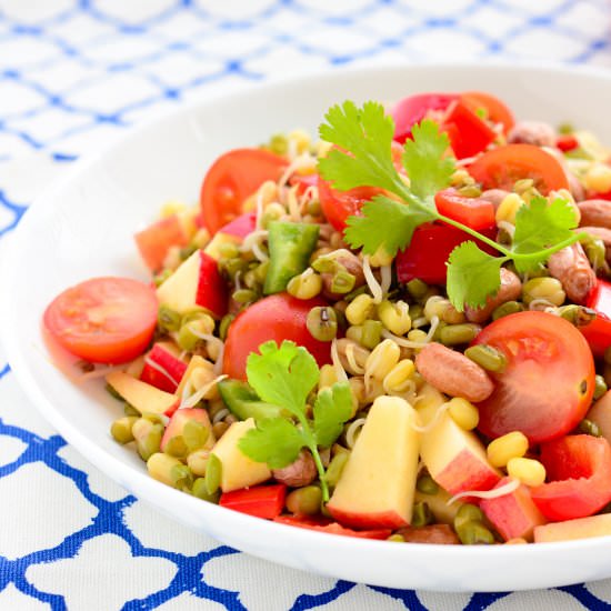 Sprouts salad - Recipe photo by secondrecipe