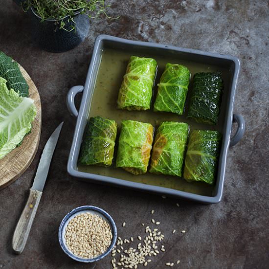 Savoy cabbage-pumpkin rolls - Recipe photo by sabrinasue