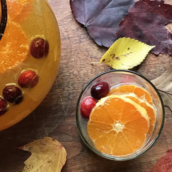 Tangerine Lemonade Punch - Recipe photo by AnEdibleMosaic