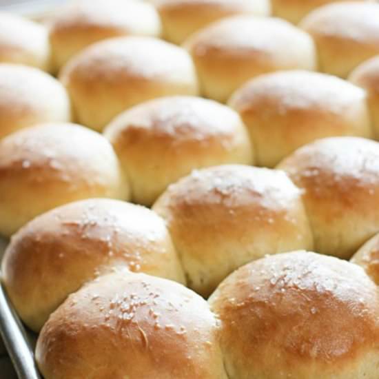 One Rise Rolls for a Crowd - Recipe photo by laughingspatula.com