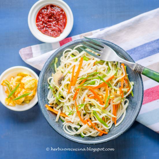 Vegetable Hakka Noodles - Recipe photo by Herbivore Cucina