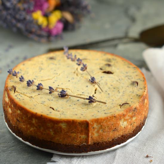 Vegan Baked Cheesecake - Recipe photo by Nutriplanet