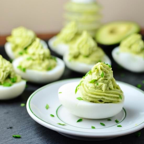 Avocado Horseradish Deviled Eggs - Recipe photo by everydayhealthyrecipes