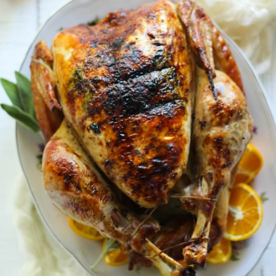 Epic Duck Fat Roasted Turkey - Recipe photo by bessiebakes