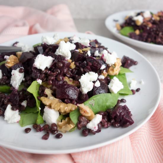 Beetroot Goats Cheese Lentil Salad - Recipe photo by kirstywats