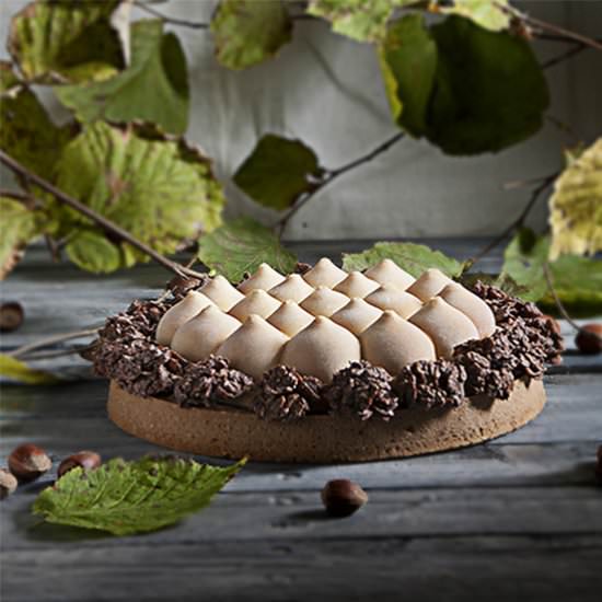 Gianduja Tart - Recipe photo by cookingmesoftly