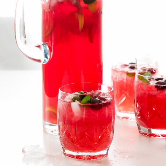 Sparkling Cranberry Vodka Punch - Recipe photo by boulderlocavore