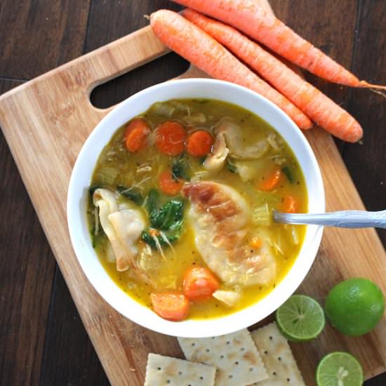 Best Homemade Potsticker Soup - Recipe photo by SweetiePieAndCupcakes