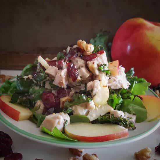 Fall Turkey Salad - Recipe photo by simplysophisticatedcooking