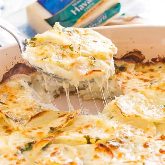 Cheesy Scalloped Potatoes - Recipe photo by Shineshka