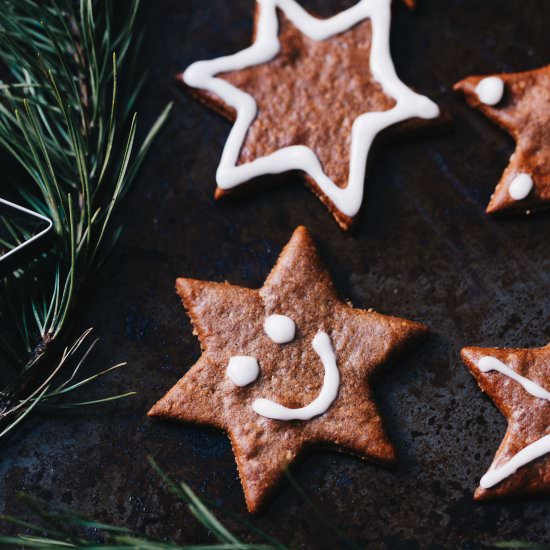 Swedish Gingerbread Cookies - Recipe photo by VibrantFoodStories