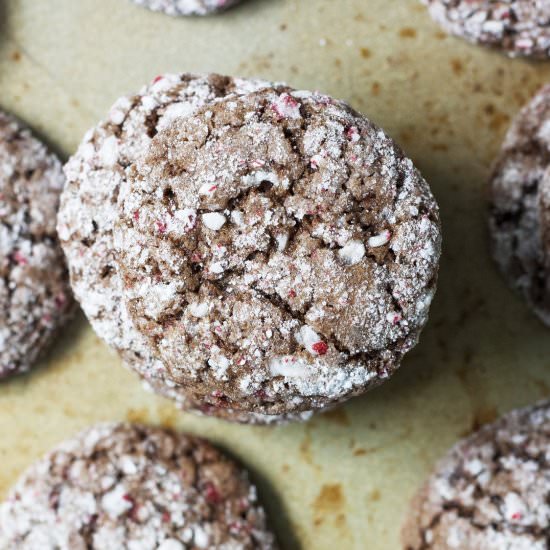 Chocolate Peppermint Crinkles - Recipe photo by Thelifejolie