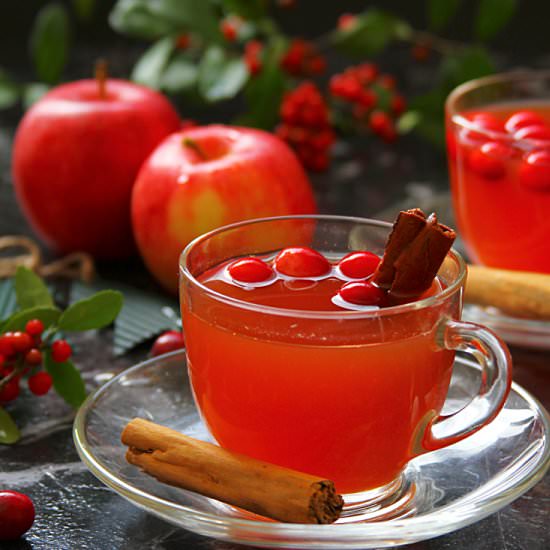 MULLED APPLE CIDER WITH CRANBERRIES - Recipe photo by Happy And Harried