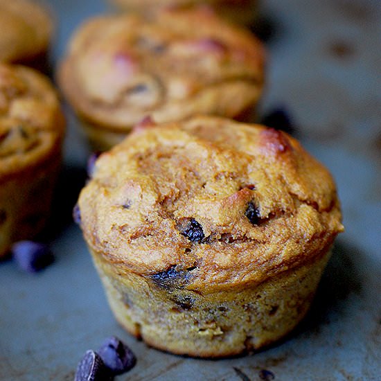 Pumpkin Chocolate Chip Muffins - Recipe photo by evabakes