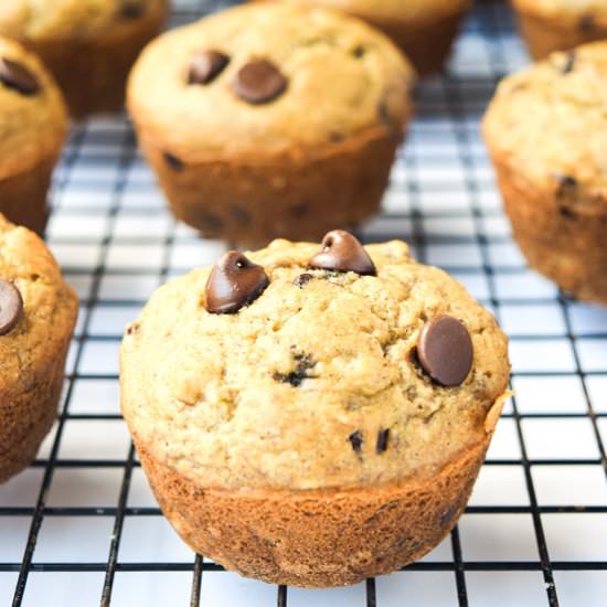 GF Banana Chocolate Chip Muffins - Recipe photo by tastythin