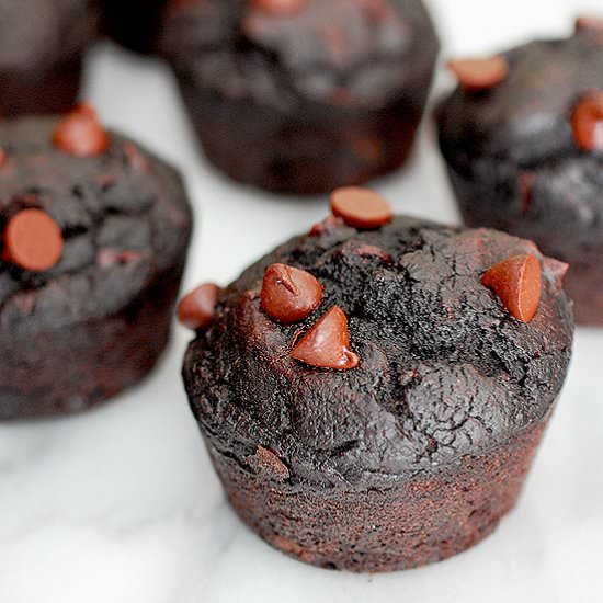 Double chocolate beet muffins - Recipe photo by evabakes