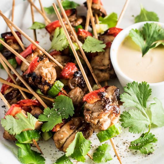 Mini Chicken Satay Skewers - Recipe photo by The Endless Meal