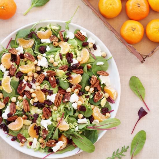 Sprouts Salad with Cranberries - Recipe photo by easypeasyfoodie