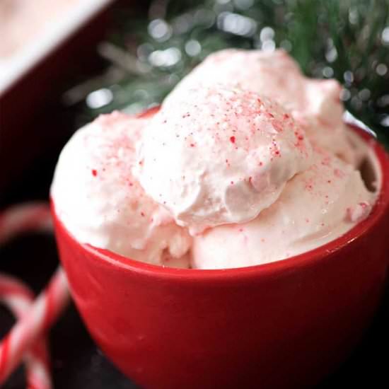 Peppermint Crunch Ice Cream - Recipe photo by homemadehooplah