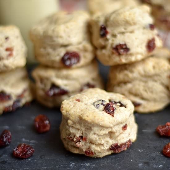 Eggnog Cranberry Biscuits - Recipe photo by wholesomelicious