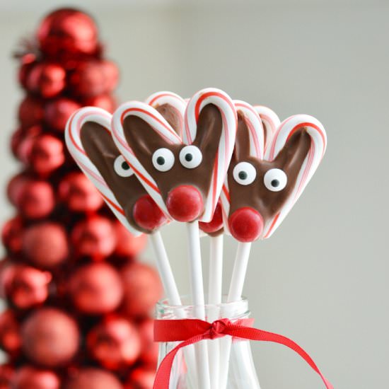 Candy Cane Reindeer Pops - Recipe photo by FindingZest